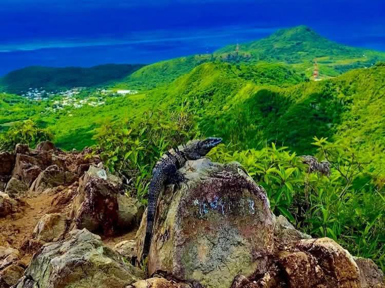 Posada Aleeny Providencia  Ngoại thất bức ảnh